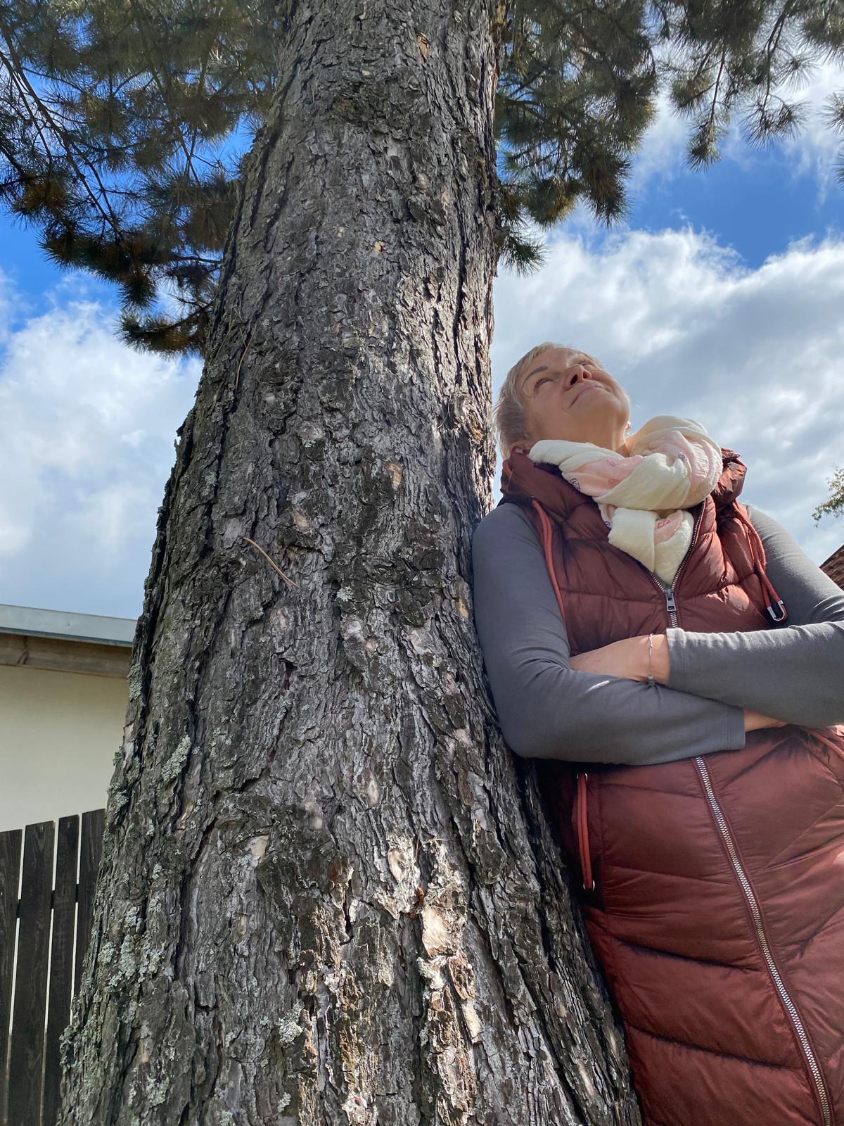 Mgr. et Bc. Ladislava Ondřichová – Theerová